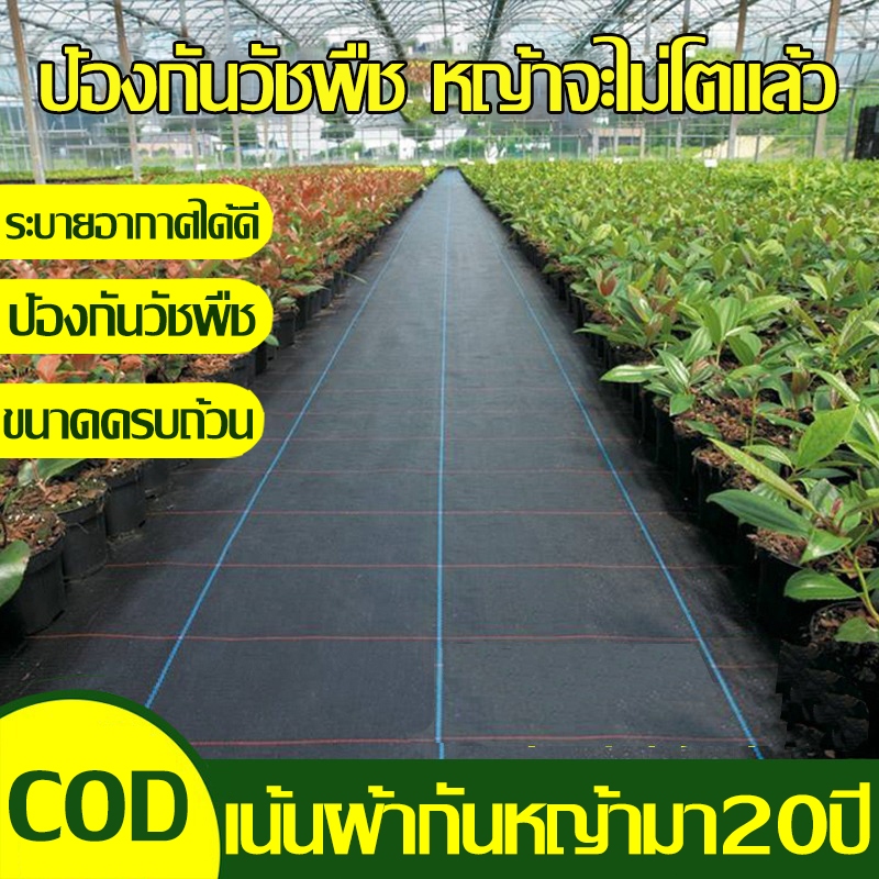 ผสมUV ฆ่าหญ้า เ กำจัดวัชพืช พลาสติกคลุมดิน ผ้าคลุมหญ้า พลาสติกคลุมวัชพืช ผ้าคลุมวัชพืช พลาสติกเกรดส่งออก Field selection