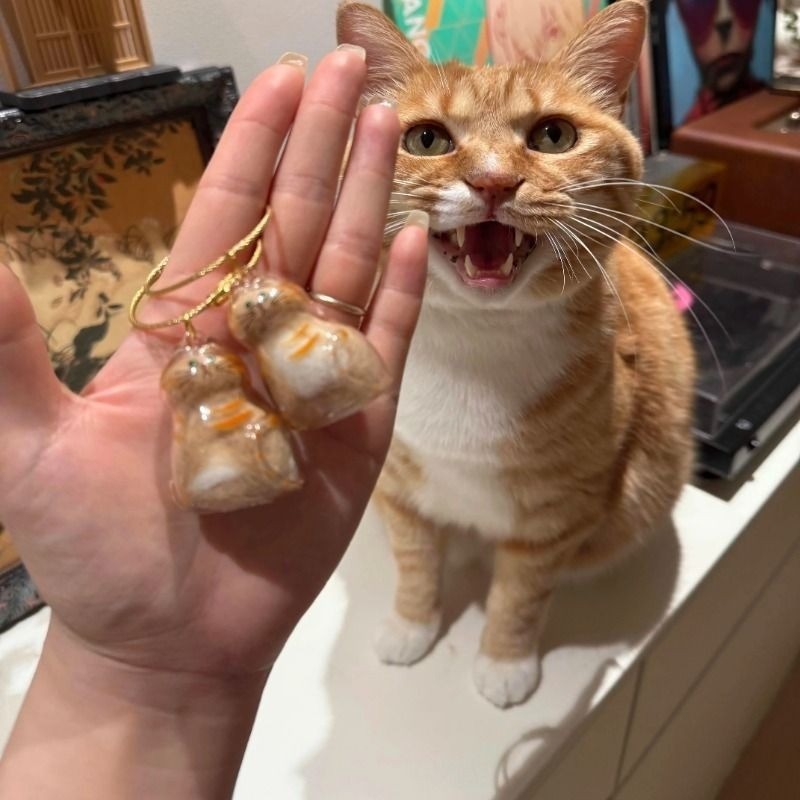 จี้กล่องเก็บขนแมวแบบใสแบบใหม่มีหลากหลายสไตล์ให้เลือกพวงกุญแจจี้แคปซูลเก็บขนแมว พวงกุญแจ - รูปที่ 4