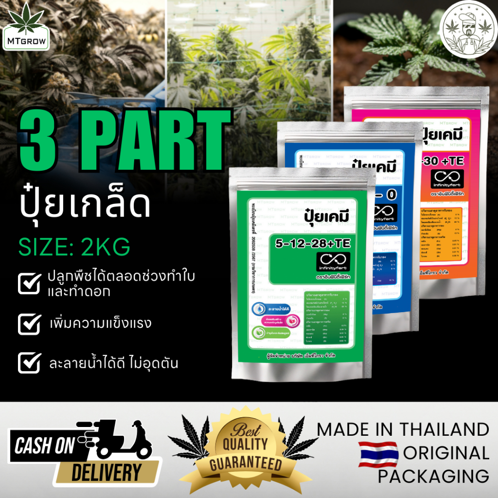 MT BASE GROW & BLOOM  3-Part ปุ๋ยกัญชาแบบผง 2 กก. สำหรับ ผสมน้ำง่าย ครบทุกธาตุ เร่งโต-ดอกดก คุณภาพสู
