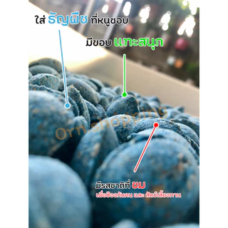 เหยื่อกำจัดหนู (ซากแห้ง) แท้! ล่อหนูดีมาก 1 วัน เริ่มต้นโดยเฉลี่ย (ซากไม่มีกลิ่น) สำเร็จรูป
