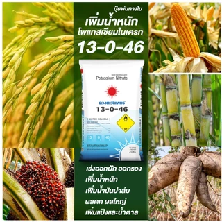 ปุ๋ยเกล็ด 13-0-46 ปุ๋ยโพแทสเซียมไนเตรท ขนาด 25 กก ปุ๋ยเร่งหัว เร่งแป้ง เร่งหวาน ละลายน้ำ100%