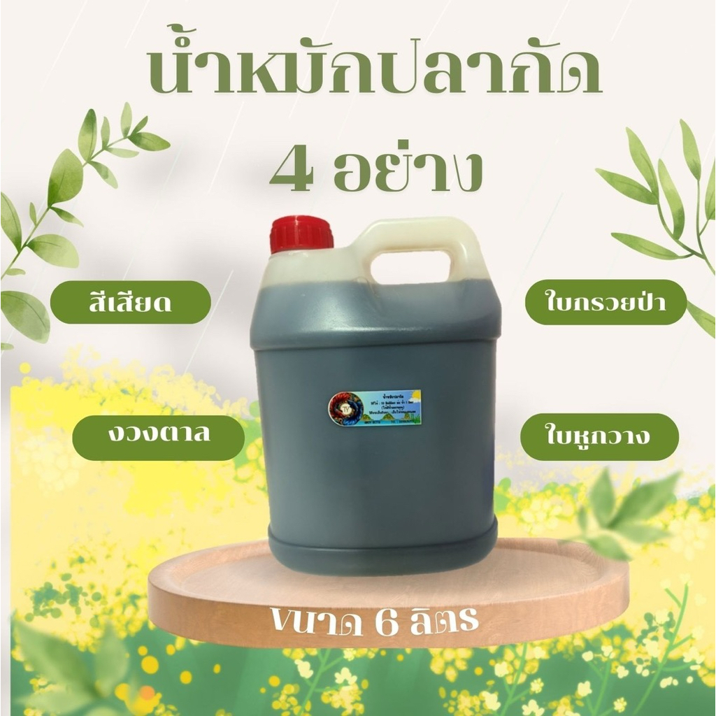 ( 6 ลิตร )น้ำหมักปลากัด 4 อย่าง ใบกรวยป่า ใบหูกวาง สีเสียด และงวงตาล