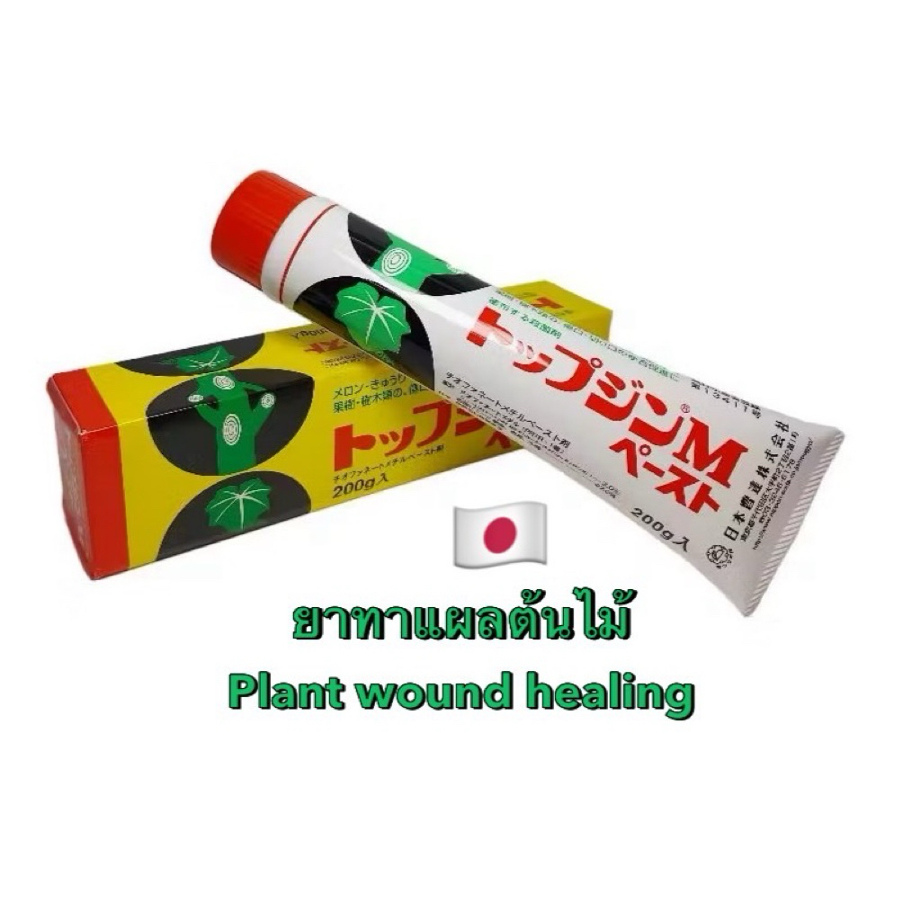 Plant wound healing Top Sin M 200g. ยาทาแผลต้นไม้ ป้องกันเชื้อรา กิ่งเน่า ฝาแดง ยาปิดแผล บอนไซ แคคตัส นำเข้าจากญี่ปุ่น