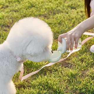VELKYBARK [พร้อมส่ง] Likalika 🇰🇷 กระบอกน้ำพกพาสำหรับสัตว์เลี้ยง One touch เกาหลี