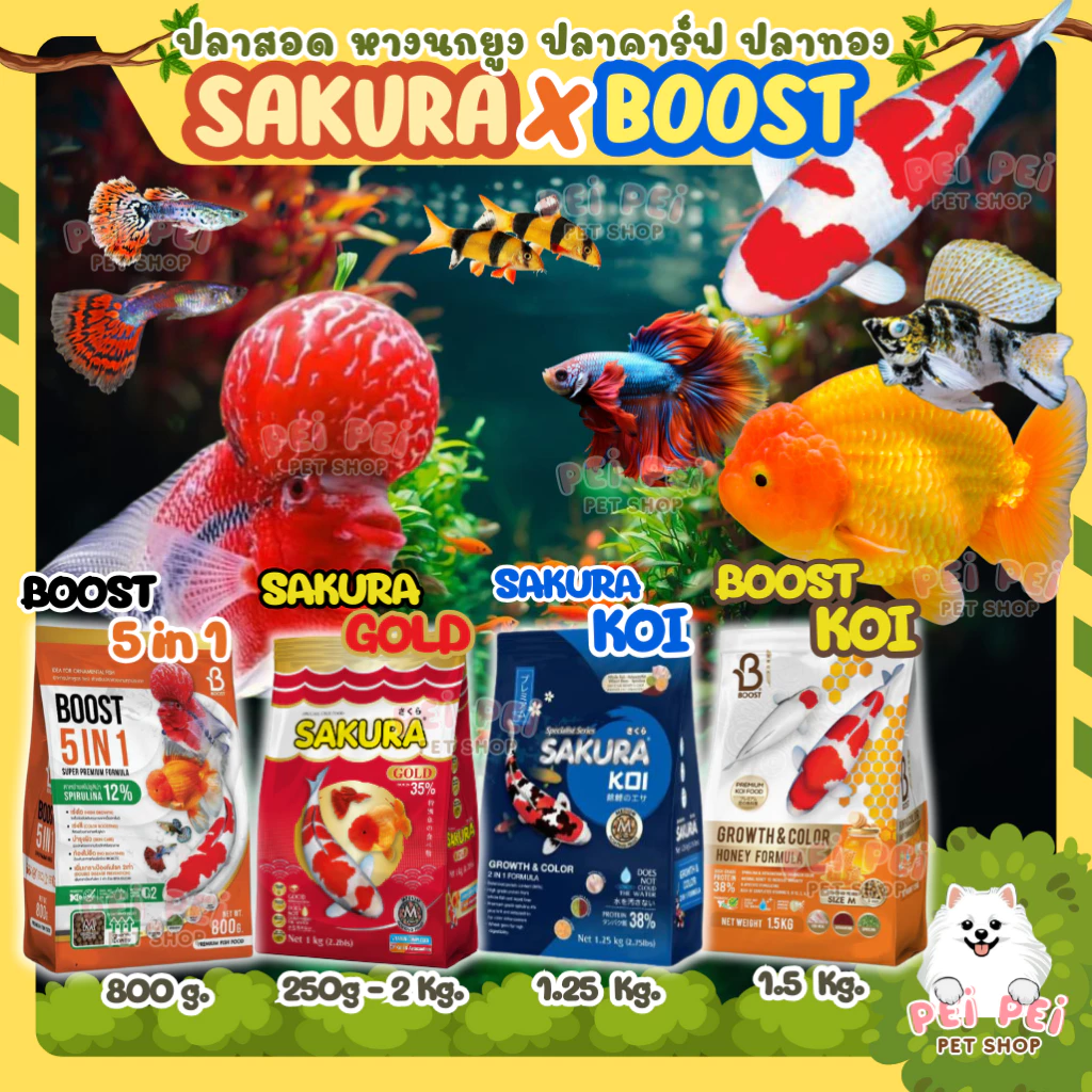 ⭐SAKURA x BOOST⭐อาหารปลาสวยงาม ปลาบอลลูน ปลาทอง ปลาคาร์ฟ ปลาหมอสี ทานได้หลากหลาย ครบจบที่เดียว