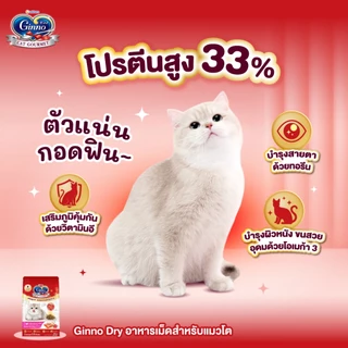 Ginno Special Set กินโนะ เซตอาหารแมวสุดพิเศษ อาหารเม็ด อาหารเปียก และขนมแมวเลีย ครบเซตสุดคุ้ม