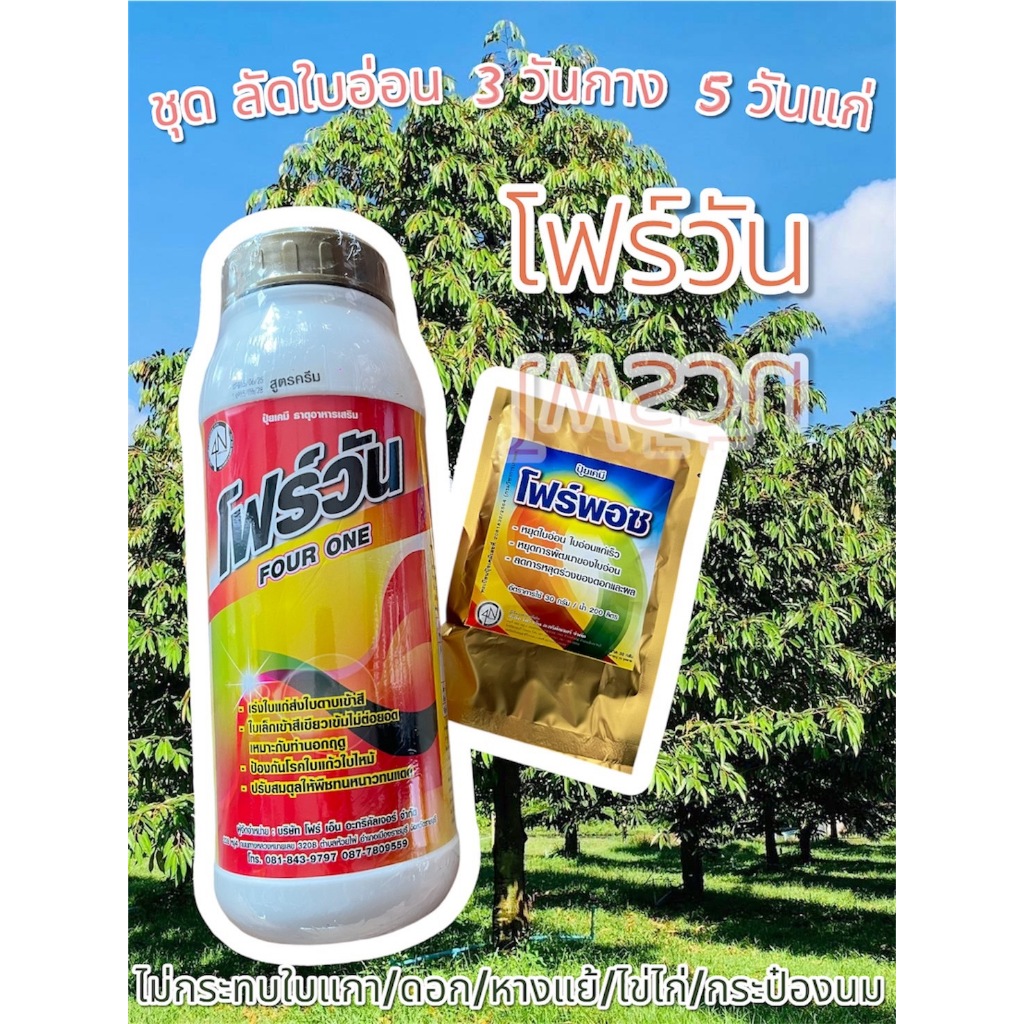 โฟร์วัน สังกะสีออกไซด์…30% ขนาด 1ลิตร  ได้ทั้งเชื้อรา ได้ทั้งอาหารเสริมอนุภาคซิงค์ในขวดเดียว