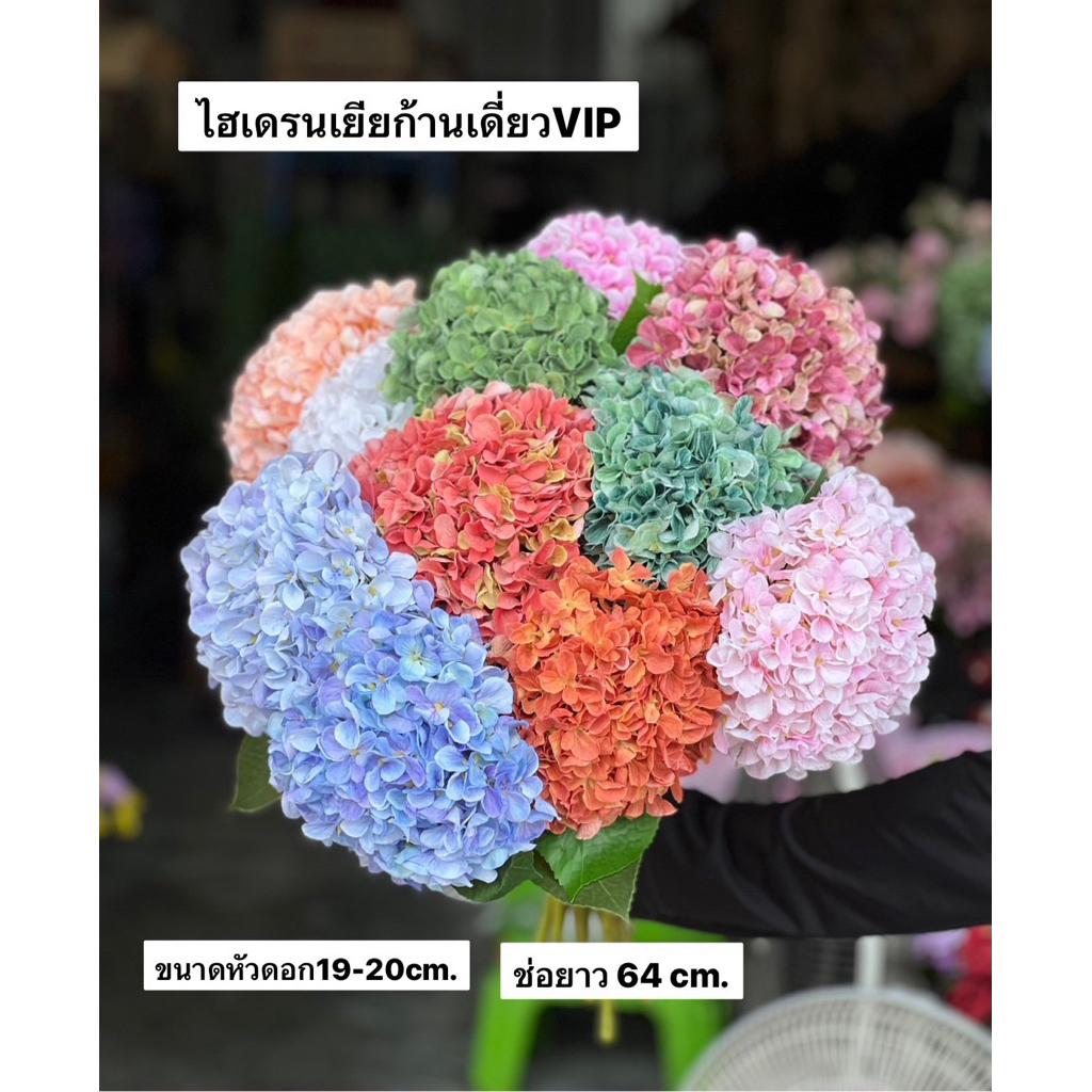 ดอกไม้ประดิษฐ์ ไฮเดรนเยียก้านเดี่ยว VIP