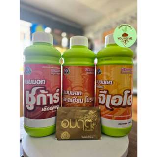 ชุดบำรุงดอก เทพวัฒนา (แมมมอทจีเอโอ 1ลิตร+แมมมอทชูก้าร์ 1ลิตร…