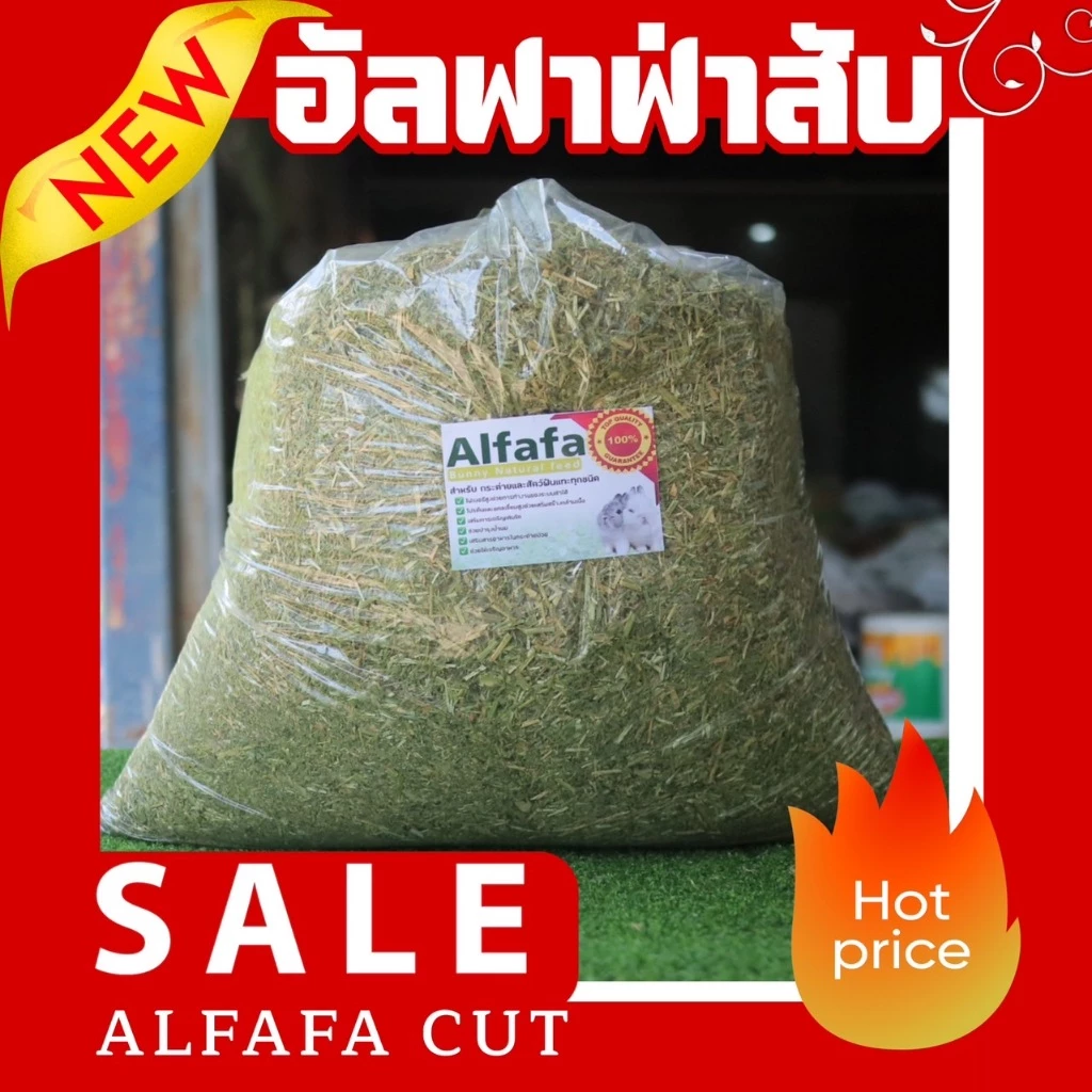KingRabbit Official อัลฟาฟ่าสับ 5 KG. กระสอบใหญ่ คุ้มค่า เต็มคุณภาพ”