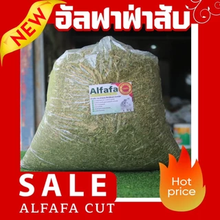 KingRabbit Official อัลฟาฟ่าสับ 5 KG. กระสอบใหญ่ คุ้มค่า เต็มคุณภาพ”