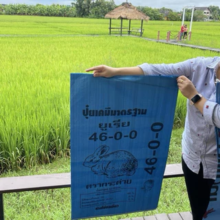 กระสอบปุ๋ยยูเรียใหม่(แพ็คละ 100 ใบ)ขนาด 24x40 ไม่ได้เย็บปาก กระสอบปุ๋ย กระสอบใส่ข้าว ถุงใหม่ ใบใหญ่ เนื้อเหนียว ทนทาน