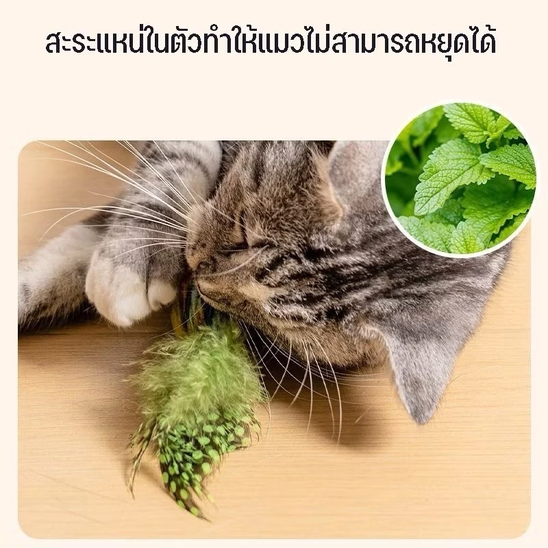ของเล่นแมวตุ๊กตานกร้องเพลงมีเสียงนก ตุ๊กตาผ้าสำหรับสัตว์เลี้ยง thumbnail 6
