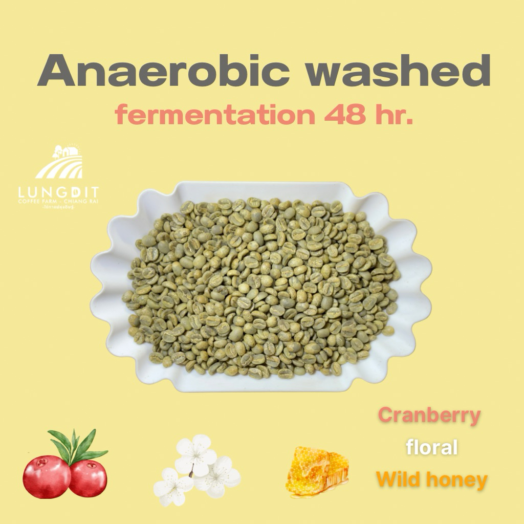 สารกาแฟขุนลาว Anaerobic washed ferment 48 ชม.(1kg.)