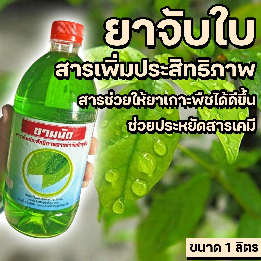 ยาจับใบ ขนาด 1 ลิตร ช่วยในการเพิ่มประสิทธิภาพของสารป้องกันกำจัดศัตรูพืช สารจับใบ น้ำยาจับใบ ยาจับใบ