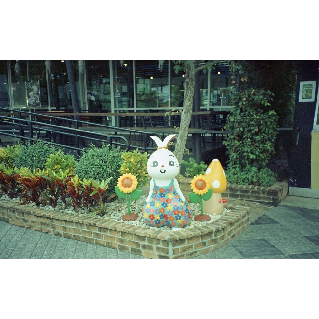 ฟิลม์หนัง ISO 50(Daylight), 30 exp(รูป), KODAK V3 5207 250D(หมดอายุ), Film 35mm(ฟิล์ม ปี 2012), มี D