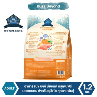 Buzz Beyond - อาหารสุนัข บัซซ์ บียอนด์ กลูเตนฟรี รสปลาแซลมอน สำหรับสุนัขโต ทุกสายพันธุ์ 1.2 kg