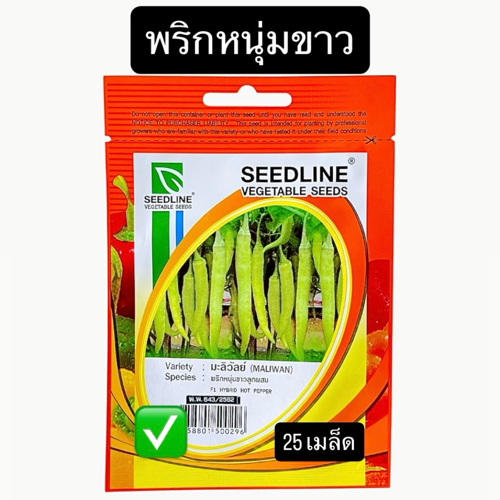 พริกหนุ่มขาว ลูกผสม มะลิวัลย์ (25 เมล็ด) ซีดไลน์