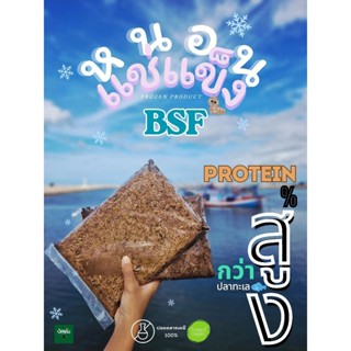 หนอนBSFแช่แข็ง 1kg. หนอนBSFฟรีส หนอนแช่แข็ง หนอนโปรตีน