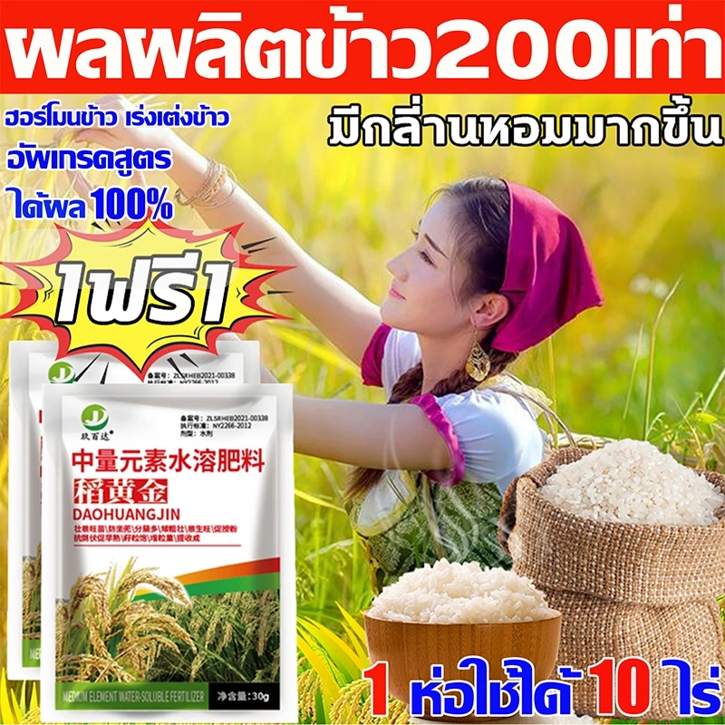 🌾การผลิตเพิ่มขึ้น10เท่า ฮอร์โมนพืช สำหรับข้าว เข้มข้นสุด ฮอร์โมนข้าว ช่วยเพิ่มผลผลิตข้าว ปรับปรุงคุณภาพ ลดการหลุดร่วง