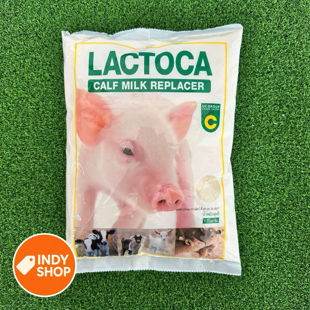 แลคโตคา Lactoca นมผงสำหรับสัตว์ อาหารแทนนมสำหรับสัตว์