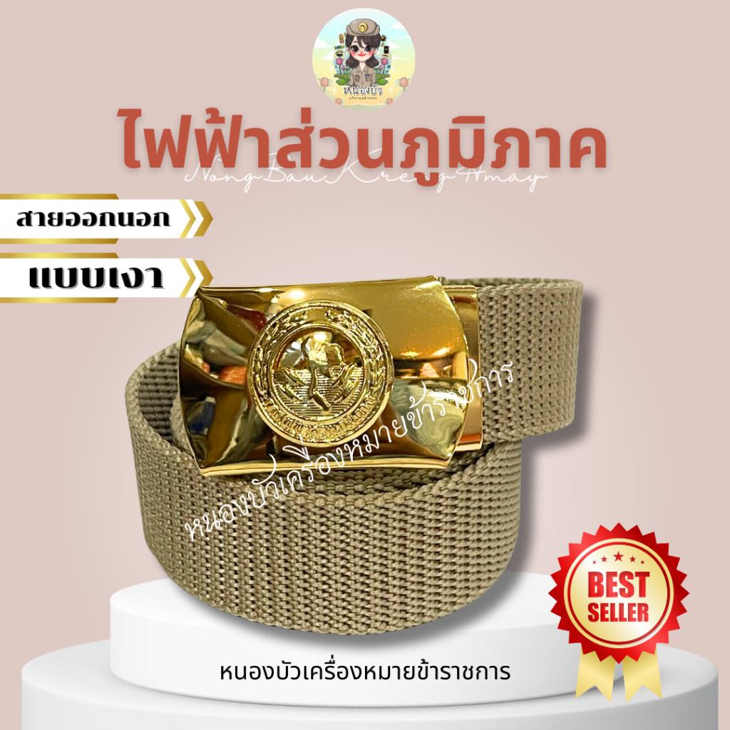 เข็มขัดไฟฟ้า เข็มขัดไฟฟ้าส่วนภูมิภาค รูปที่ 5