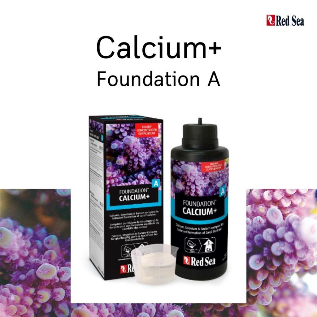 Red Sea Foundation A Calcium+ Supplement