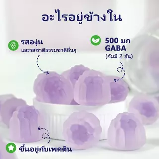 Wellcatcher Gaba Sleep Gummies Non-GMO Gluten-Free ช่วยผ่อนคลาย นอนหลับดีขึ้น 60 เม็ด