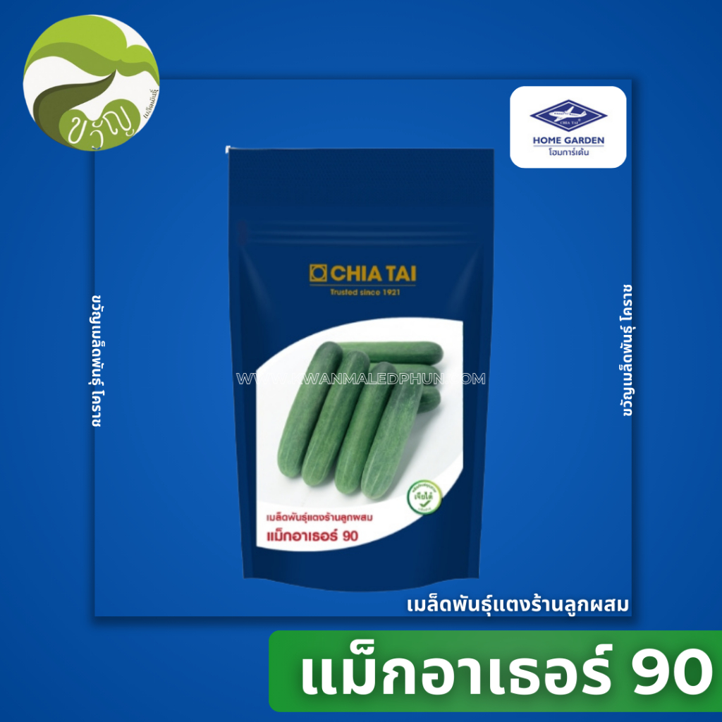 เมล็ดพันธุ์ แตงร้านลูกผสม  แม็กอาเธอร์90 สายพันธุ์ใหม่❗️❗️