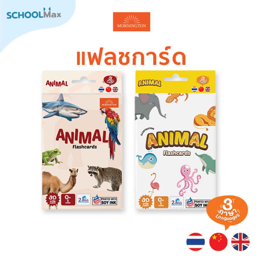 Mornington Flashcard ชุดแฟลชการ์ด การ์ดคำศัพท์ บัตรคำ 3 ภาษา เสริมพัฒนาการเด็ก / กล่อง