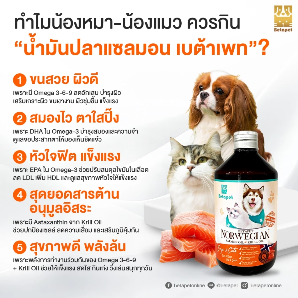 ( ‼️ ส่งไวมาก ‼️ ) BETAPET น้ำมันปลาแซลมอนแท้ 100% Premium จาก Norway สำหรับสุนัขและแมว บำรุงขนผิว ช่วยให้เจริญอาหาร thumbnail 5