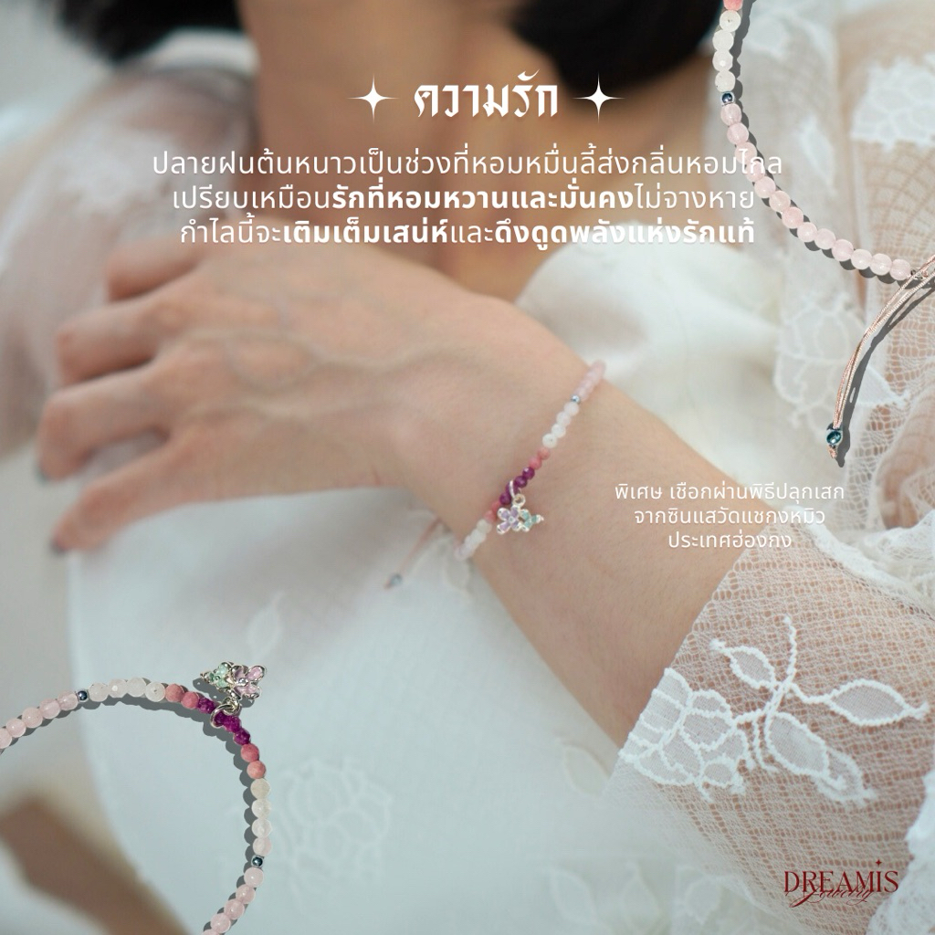 รูปภาพ 4