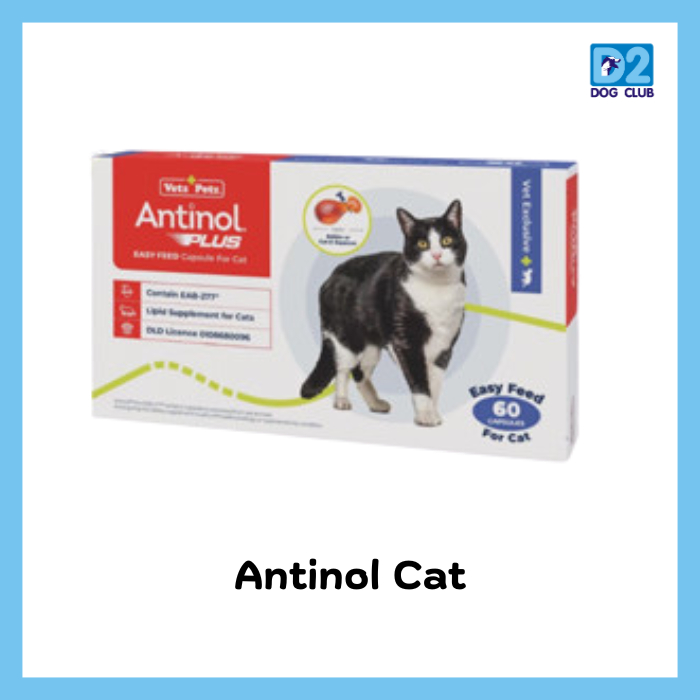 Antinol  Cat  อาหารเสริม ลดอักเสบ บำรุงข้อ แมว ช่วยลดการระคายเคืองที่ผิวหนัง  60 caps ( แมว )