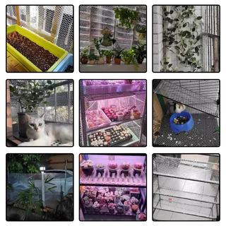 T-ONE✨ยาว1-5M✨ตาข่ายพลาสติก ตาข่ายป้องกัน ฟรี！20ผูกเน็คไท ขนาดรู1.8CM ตาข่ายรั้ว ตาข่ายPVC ตาข่ายนิรภัย ตาข่ายพีวีซี