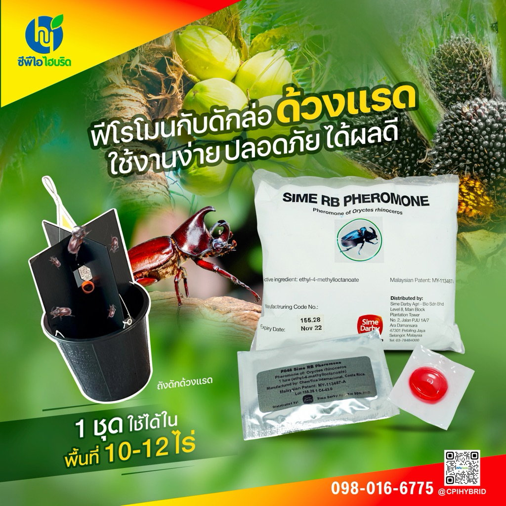ฟีโรโมน กับดักล่อด้วงแรดมะพร้าว