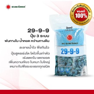ปุ๋ยบำรุงต้น - ใบสูตร 29-9-9 ขนาด 1 กิโลกรัม ( #ฟื้นต้นโทรม …