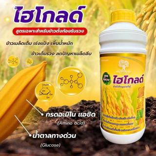 ไฮโกลด์ สูตรข้าวตั้งท้องรับรวงสารสกัดเข้มข้น ขนาด 1 ลิตร ข้าวเมล็ดใหญ่ น้ำหนักดี สีสวย รวงใหญ่ยาว ทนต่อทุกสภาพอากาศ