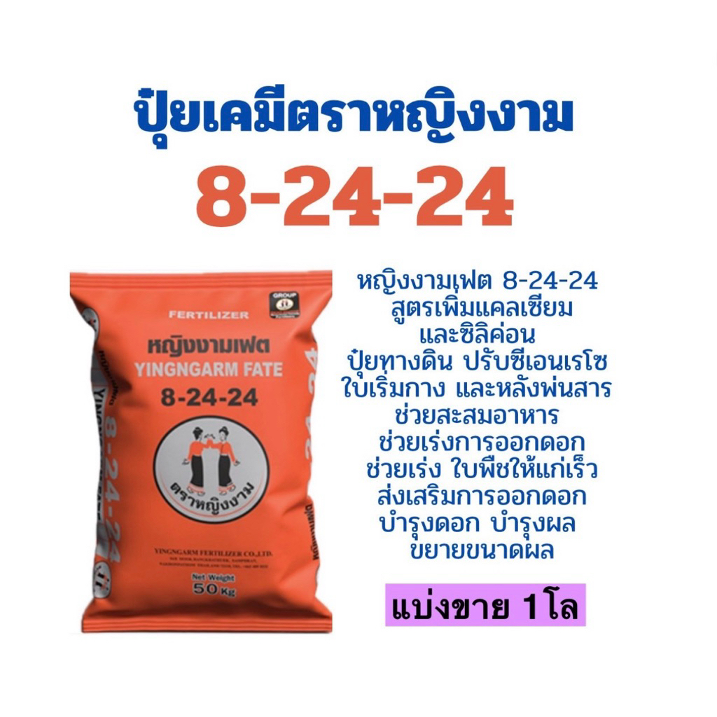 8-24-24ปุ๋ยหญิงงาม แบ่งขาย 1โล  ช่วยสะสมอาหาร ช่วยเร่งการออกดอก ช่วยเร่ง ใบพืชให้แก่เร็ว บำรุงดอก บำ