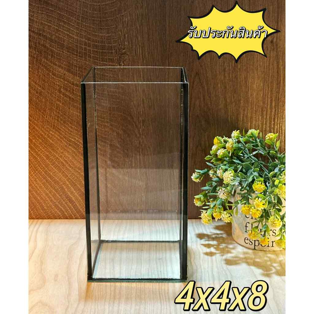 โหลปลากัด 4x4x8 ขอบดำ กระจกหนา 3 มิลลิเมตร พร้อมส่ง