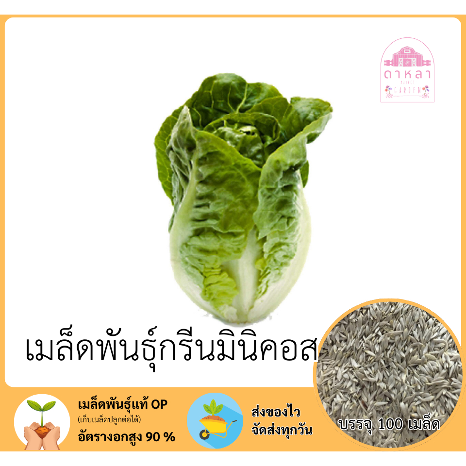 กรีนมินิคอส 100 เมล็ด