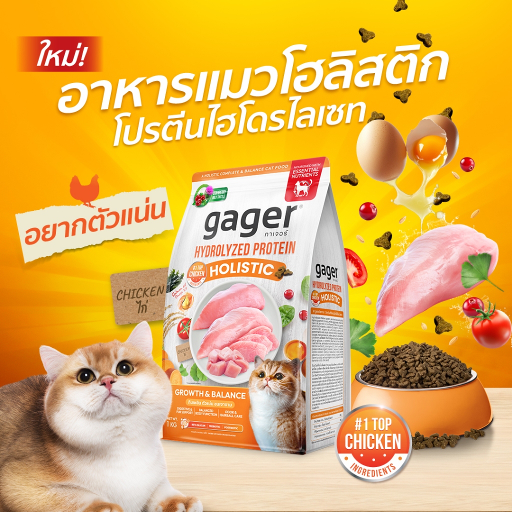 Gager อาหารแมว กาเจอร์ โฮลิสติก เสริมวิตามิน เพื่อสุขภาพ พัฒนาโดยสัตวแพทย์ สูตรไก่  (ขนาด 1 กิโลกรัม
