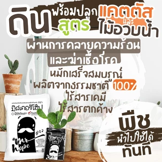 🔥ปรุงสดใหม่🔥ดินแคตตัส ดินกระบองเพชร สูตรพรีเมี่ยม! จุแน่นเต็มถุง! (Premium Organic Cactus Soil)