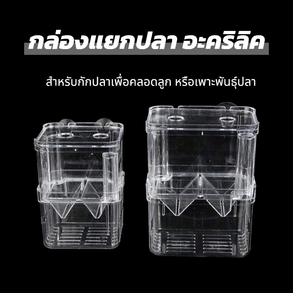 กล่องแยกปลาอะคริลิค 2ชั้น เพื่อแยกปลาคลอดหรือเพาะพันธ์ปลา