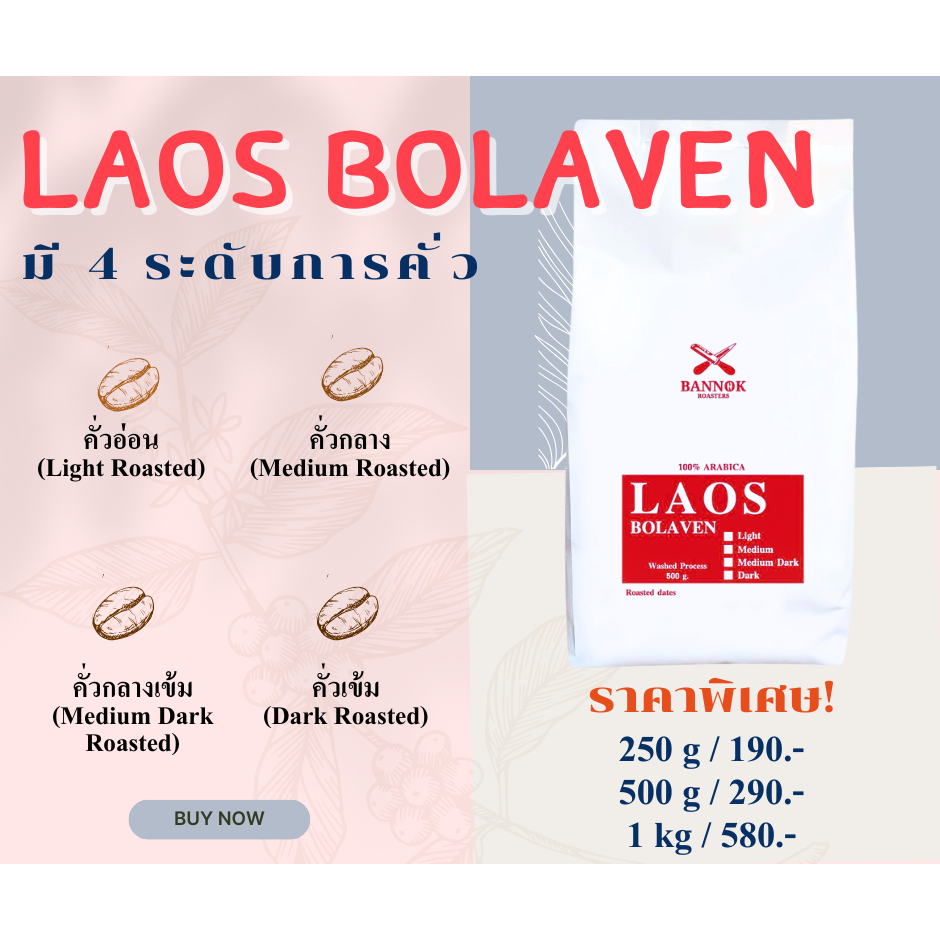 เมล็ดกาแฟคั่ว Laos Bolaven ลาว โบลาเวน Arabica 100% เกรดA - BANNOKCOFFEE