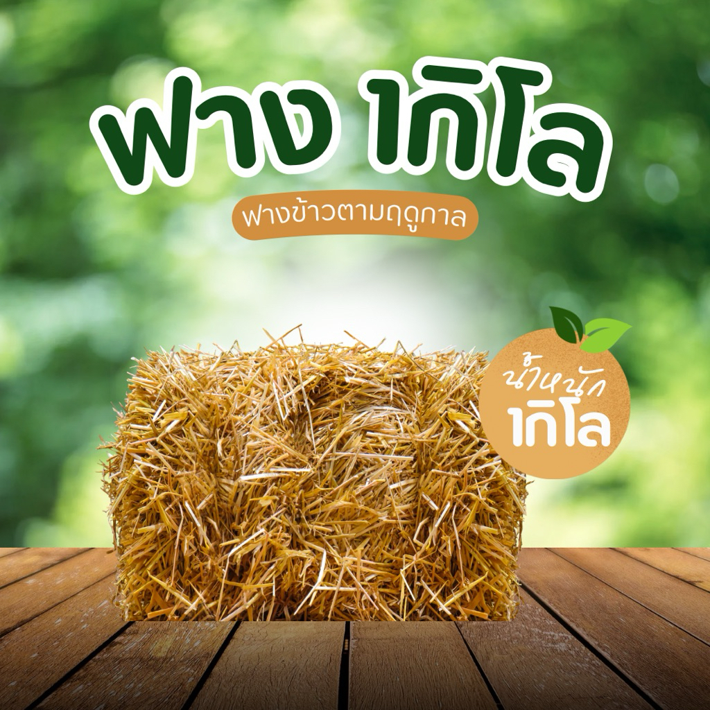ฟางอัดก้อนแบ่งขายมีราคาส่ง