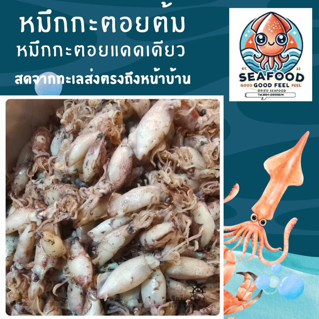 หมึกกะตอยต้ม หมึกกะตอยแดดเดียว ราคาดีที่สุด ติดเค็มนิดหน่อย สดใหม่จากทะเลทุกวัน ‼️ กะตอยแดดเดียว​