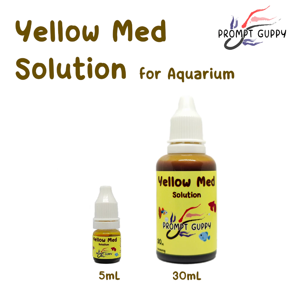 Yellow Med Solution เข้มข้น สำหรับสัตว์น้ำ ปลาสวยงาม ในขวดหยด สะดวกใช้งาน