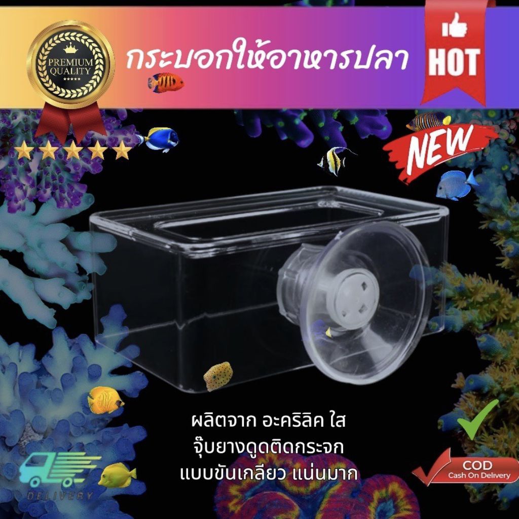 กล่องให้อาหารปลาไม่ให้ลอยลงช่องกรอง แบบใส