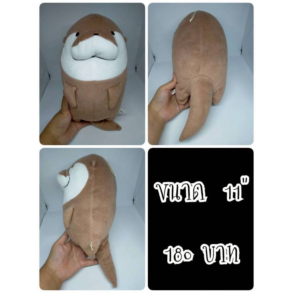 Kotsumetti#Kotsume#Otter#Sea Otter#Small-Clawed Otter#นาก#ตุ๊กตาญี่ปุ่นมือสอง