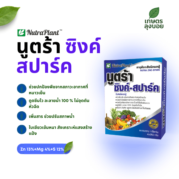 นูตร้าตร้า ซิงค์-สปาร์ค ธาตุรอง-เสริม สำหรับพืช ขนาด 100 กรัม x 10 ซอง ราคา ถูกที่สุด ดีลบีเคเค รูปภาพหลัก